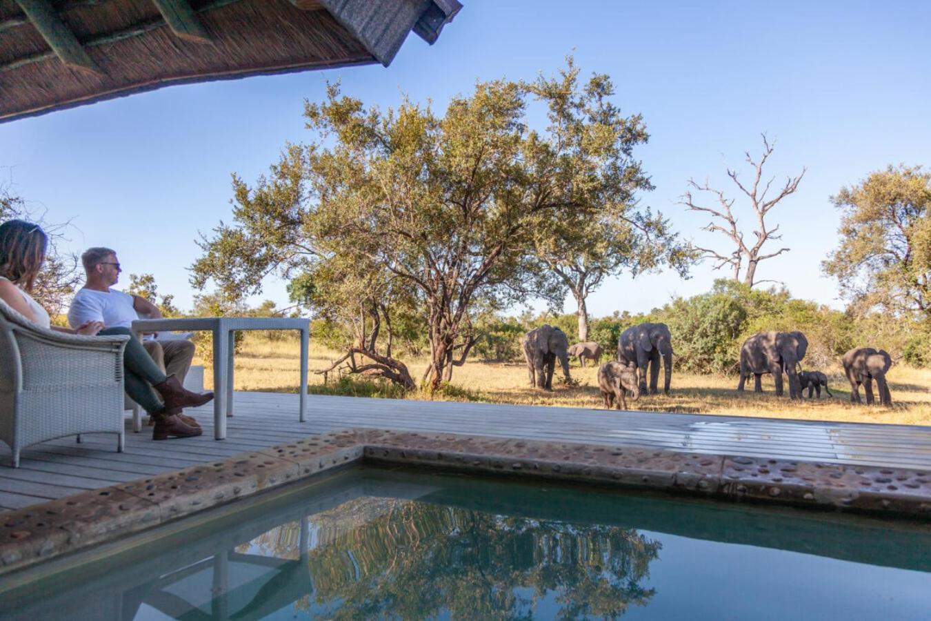 Leopard Hills Private Game Reserve Reserva de caza Sabi Sand Exterior foto